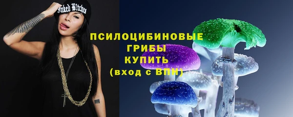 гидропоника Алзамай