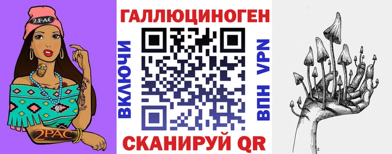 ссылка на мегу ссылка как найти Каневская Галлюциногенные грибы Psilocybe